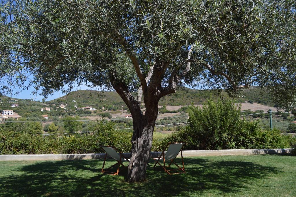B&B Kapi Country Alghero Oda fotoğraf
