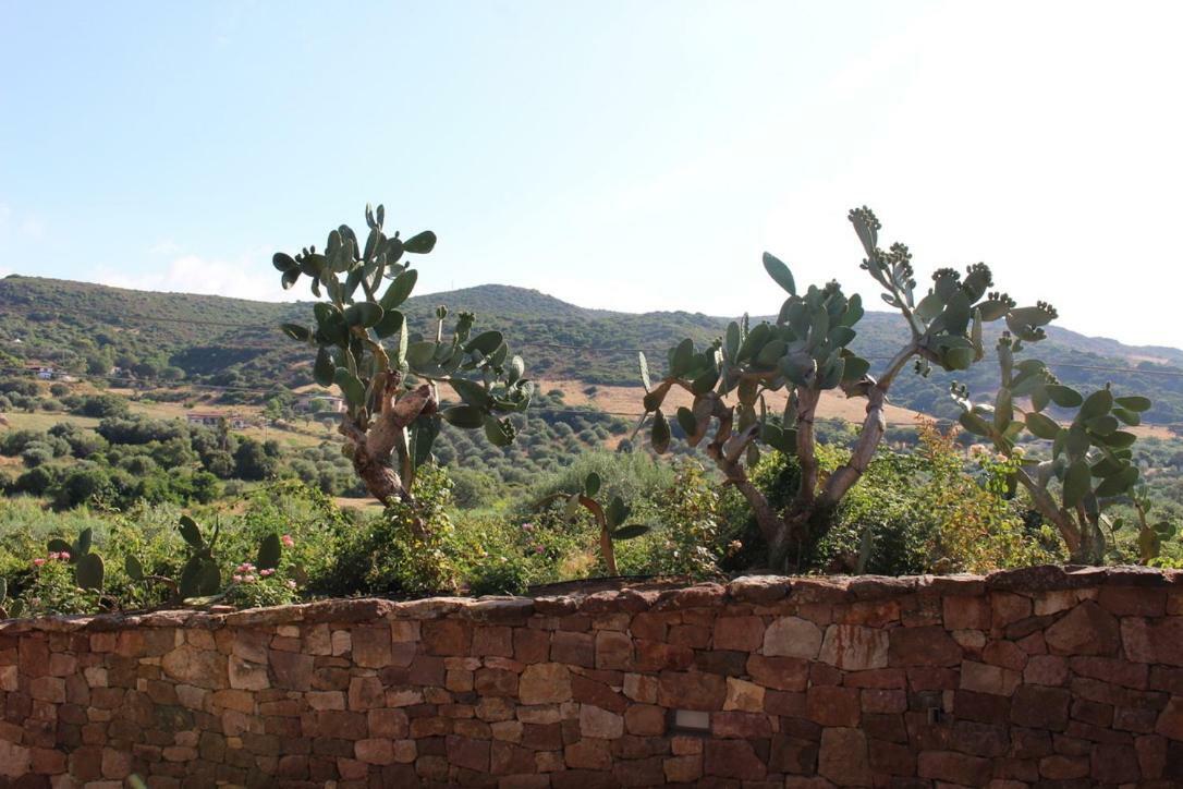 B&B Kapi Country Alghero Dış mekan fotoğraf
